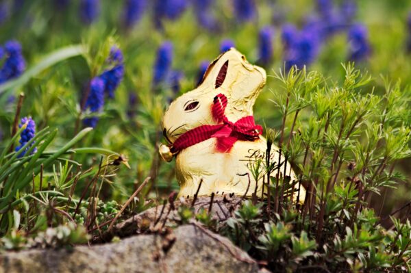 lindt-hase